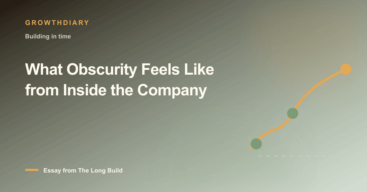 Branded illustration for “What Obscurity Feels Like from Inside the Company” with a long, rising path marked by stages of the build