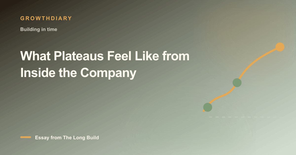 Branded illustration for “What Plateaus Feel Like from Inside the Company” with a long, rising path marked by stages of the build